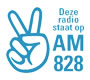 AM 828
